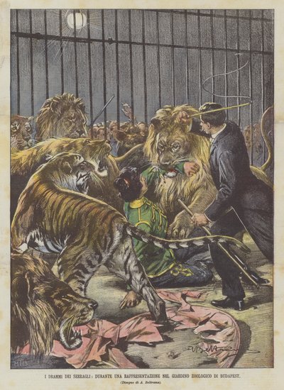 I drammi dei serragli, durante una rappresentazione nel giardino zoologico di Budapest da Achille Beltrame